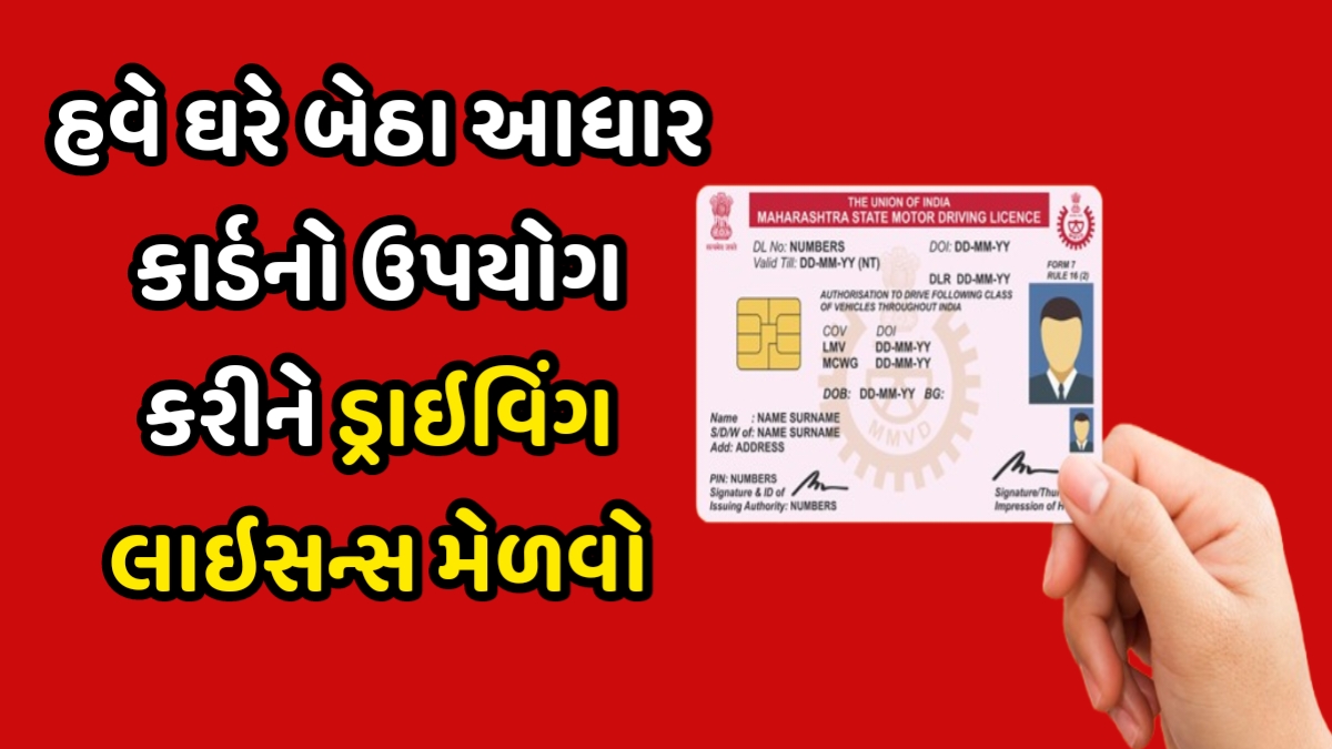 Driving License 2025