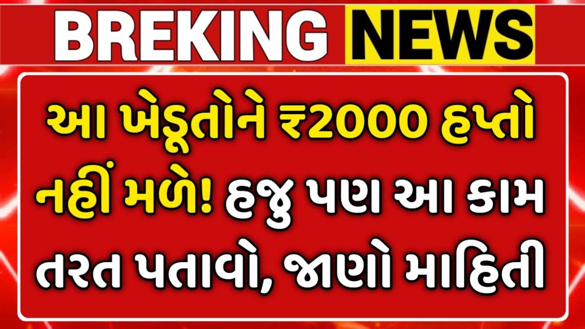 PM Kisan Yojana 22nd Installment